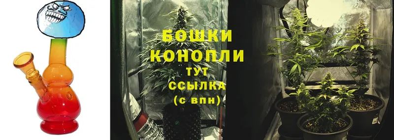 Каннабис Ganja  Курчатов 